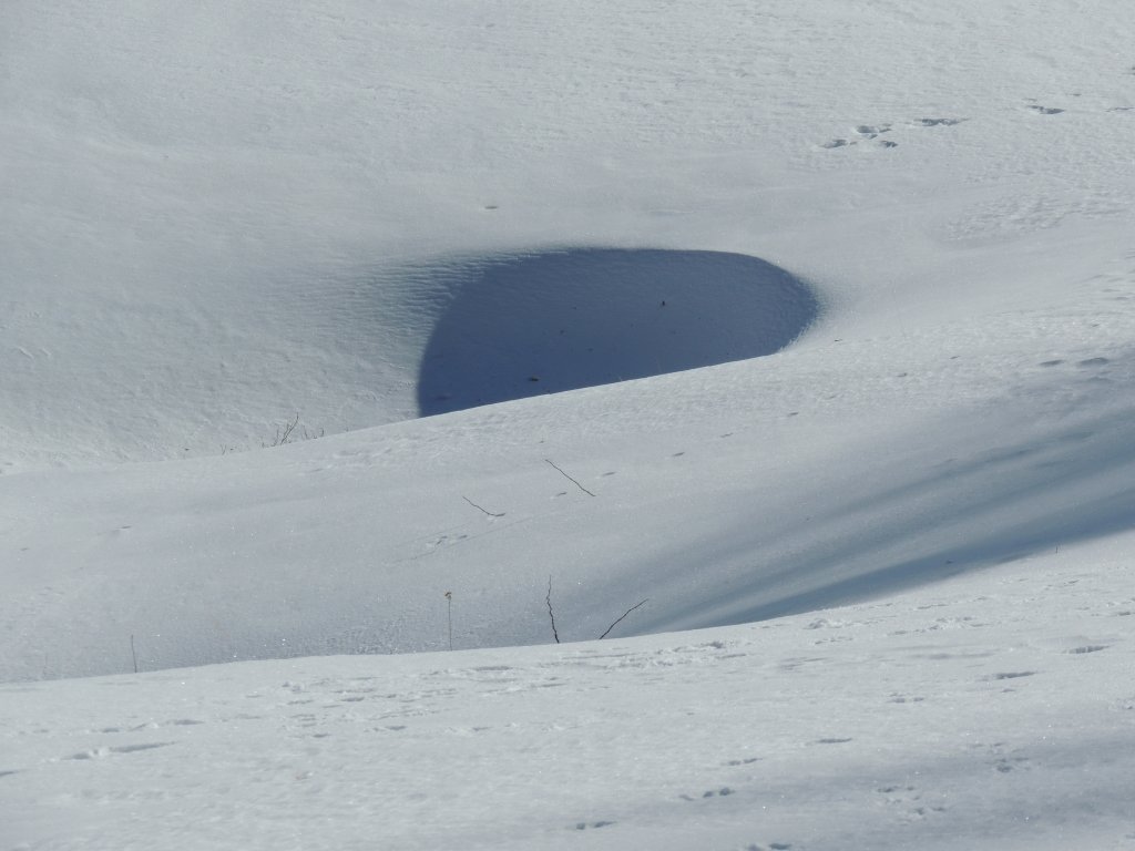 dscn6393.jpg