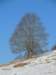 dscn6399_small.jpg