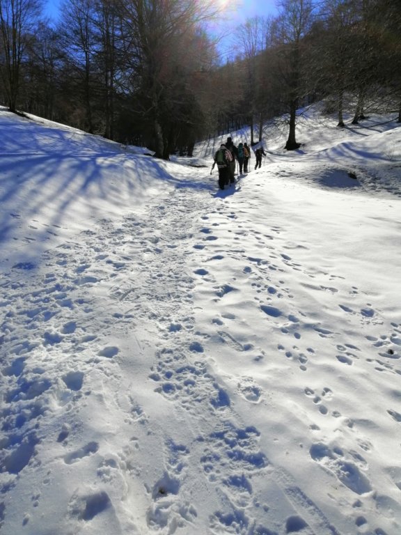 img_20190217_094451.jpg