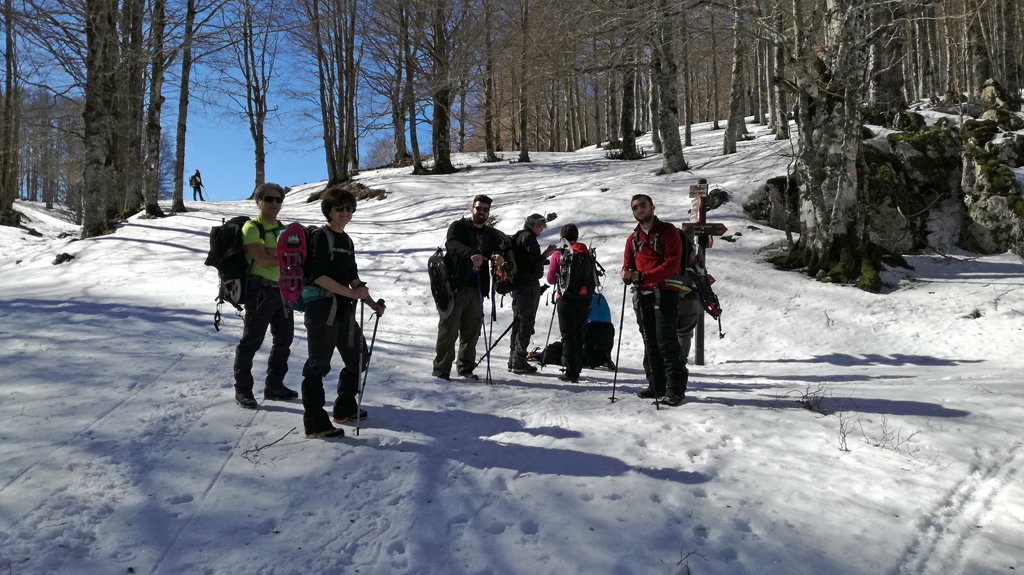 img_20190217_113423.jpg