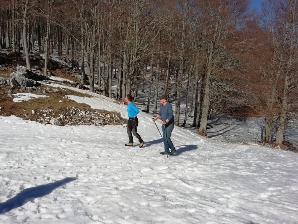 img_20190217_134545.jpg