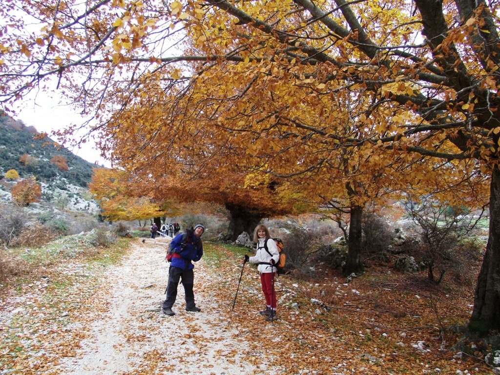 dscf5502.jpg
