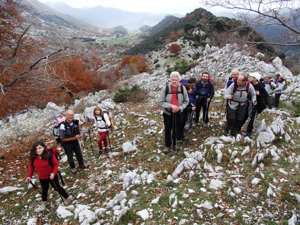 dscf5513.jpg