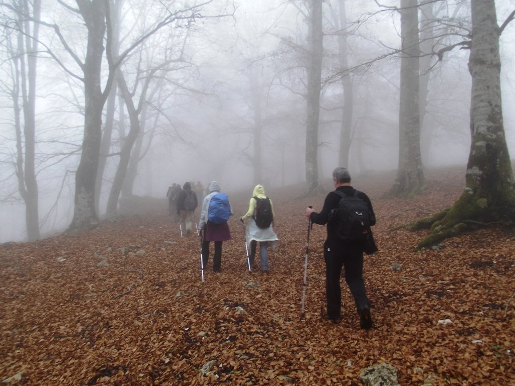 dscf5542.jpg