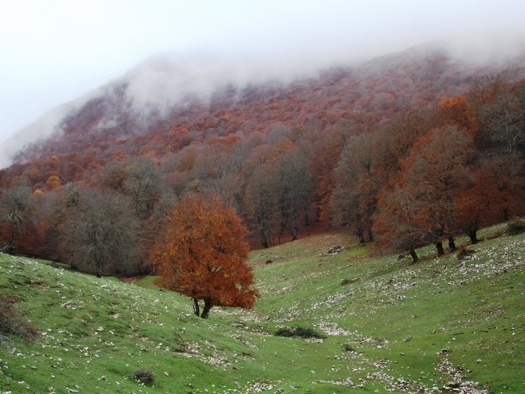 dscf5572.jpg