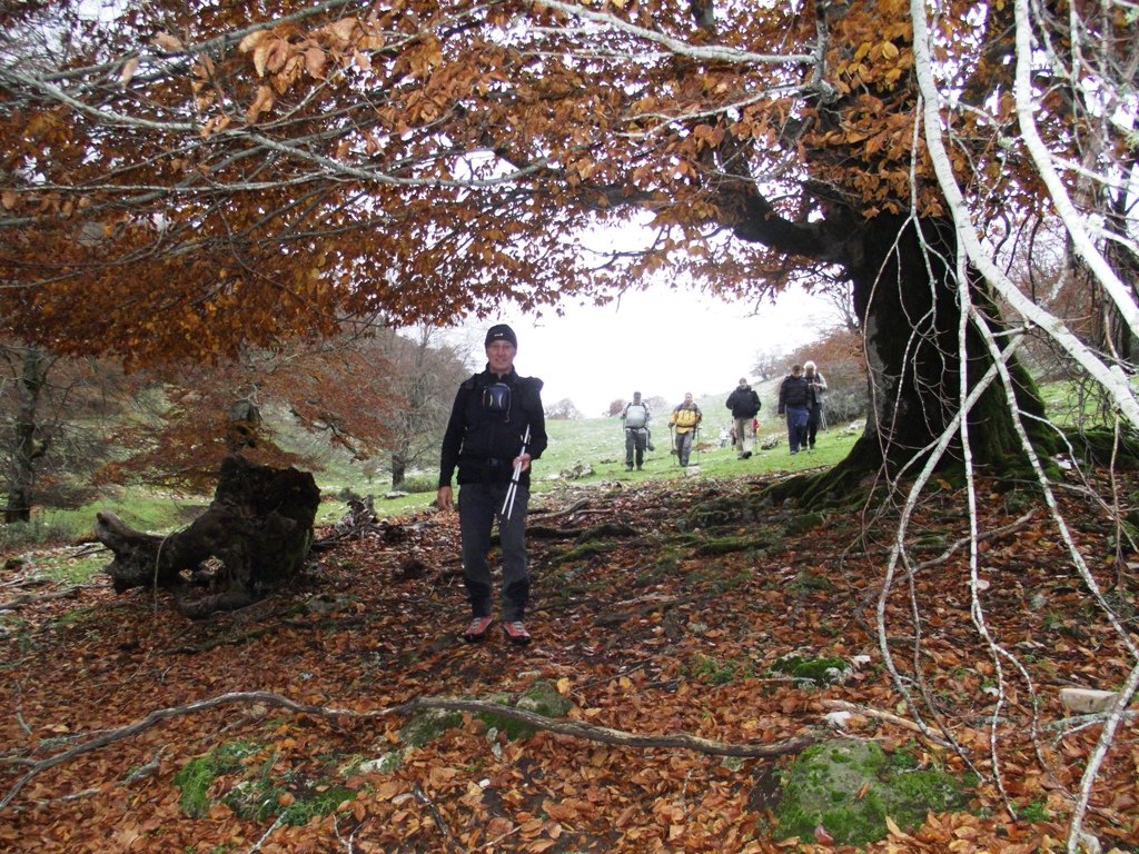 dscf5584.jpg
