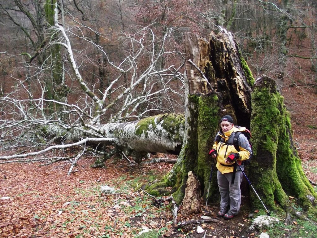 dscf5591.jpg