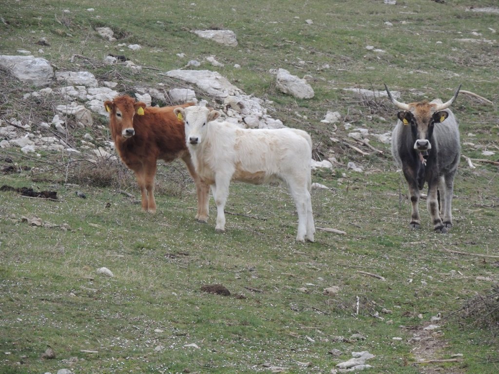 dscn5804.jpg