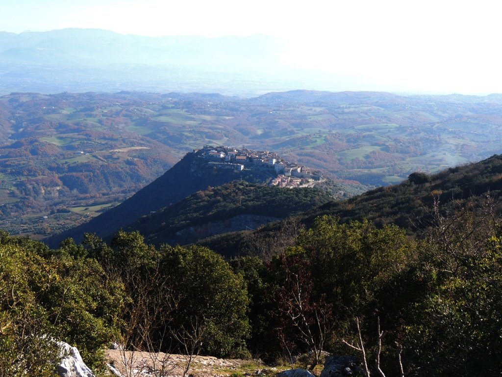 dscn5546.jpg