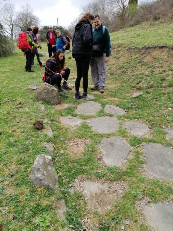 img_20190316_120610.jpg