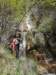 dscn6529_small.jpg