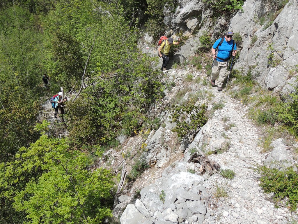 dscn6535.jpg