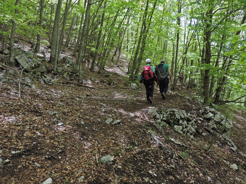 dscn6547.jpg
