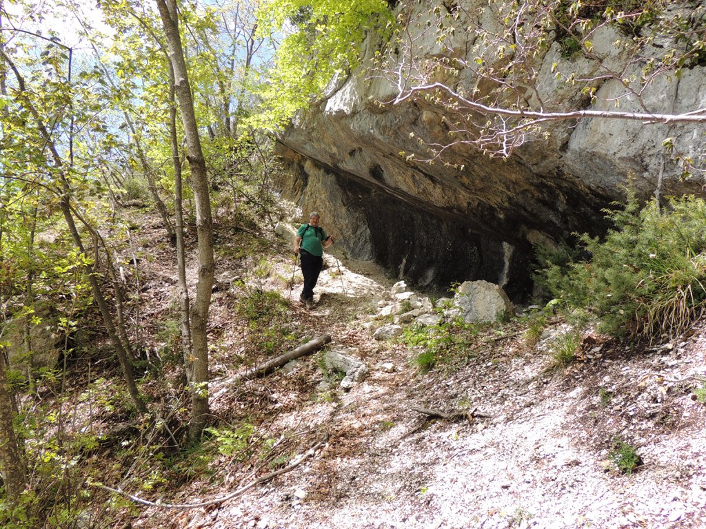 dscn6553.jpg