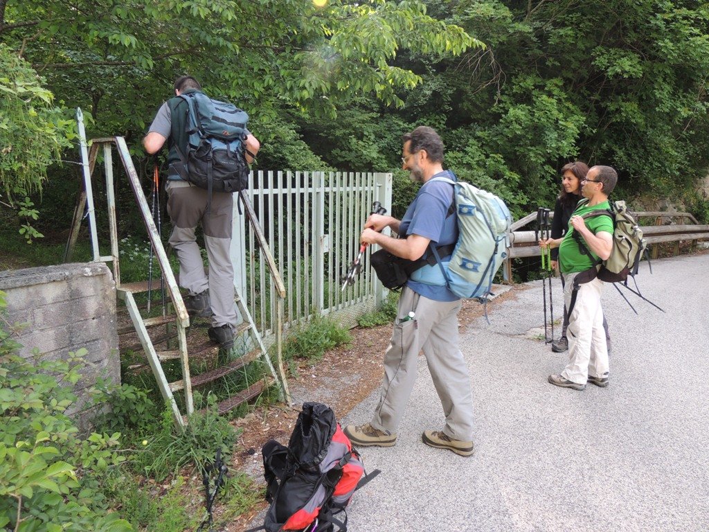 dscn1566.jpg