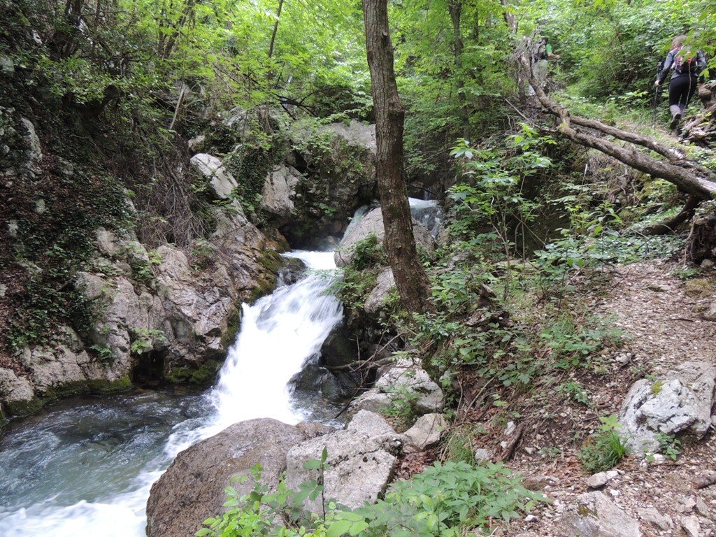 dscn1579.jpg