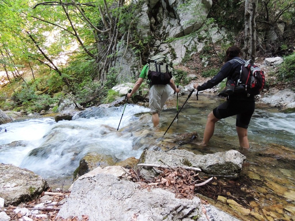 dscn1584.jpg