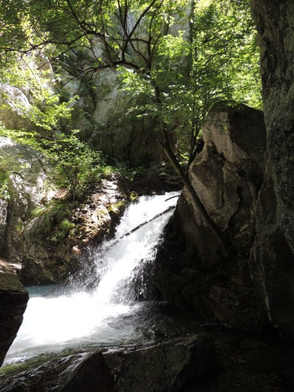dscn1602.jpg