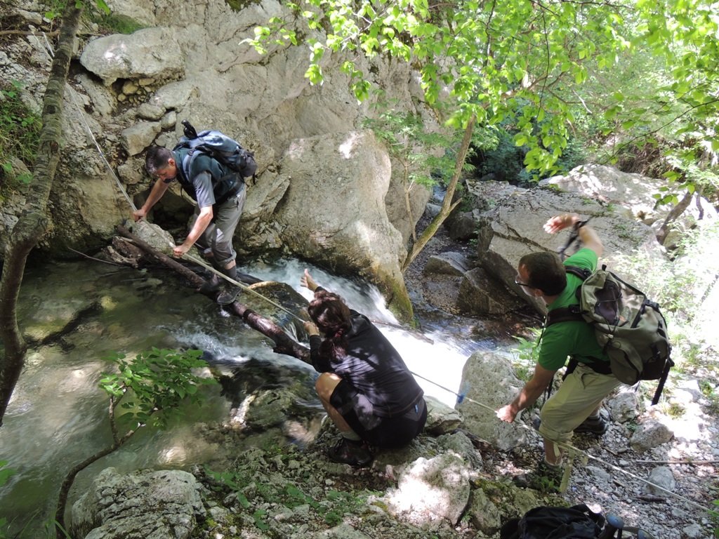 dscn1604.jpg
