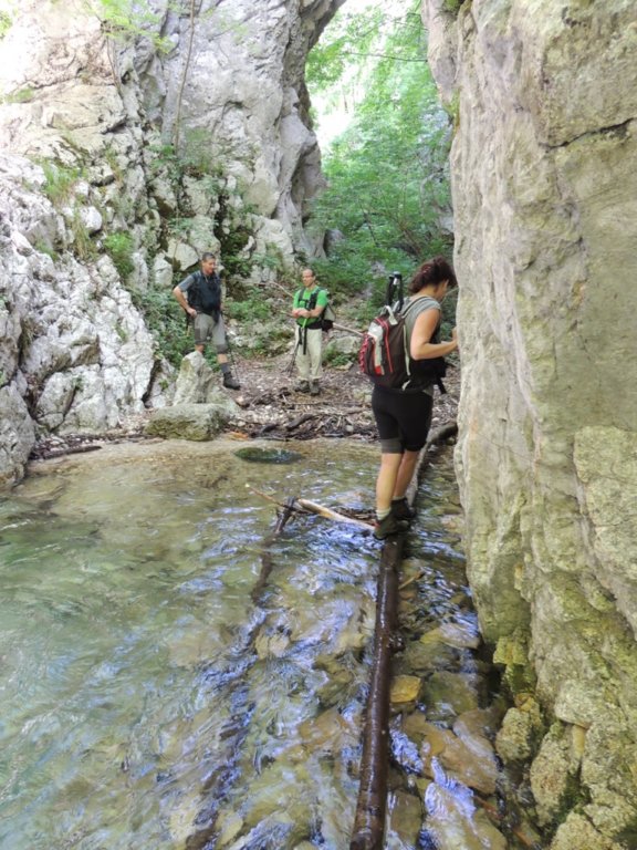 dscn1621.jpg