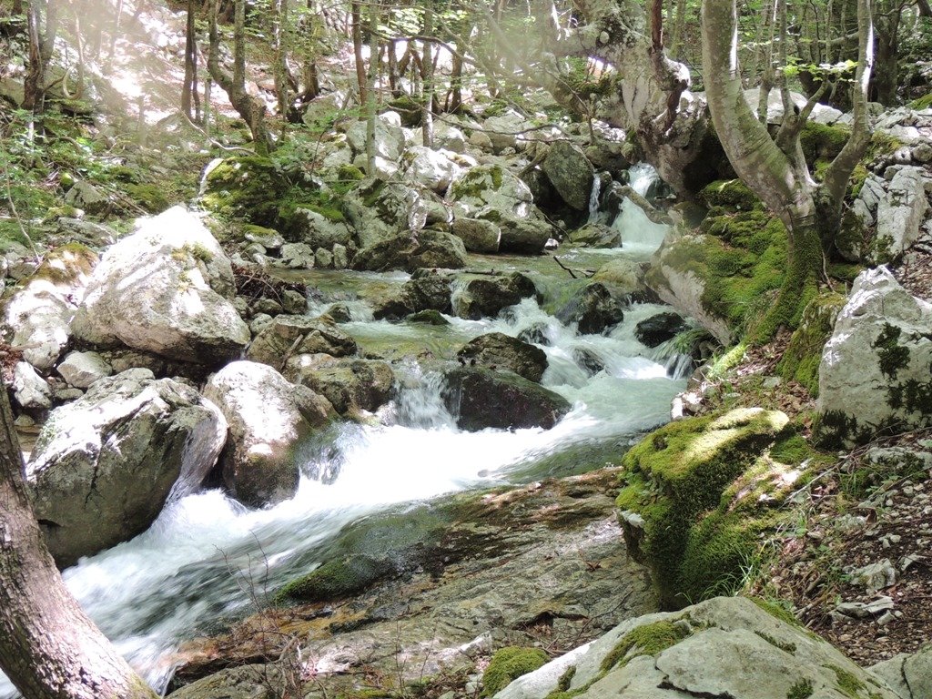 dscn1630.jpg