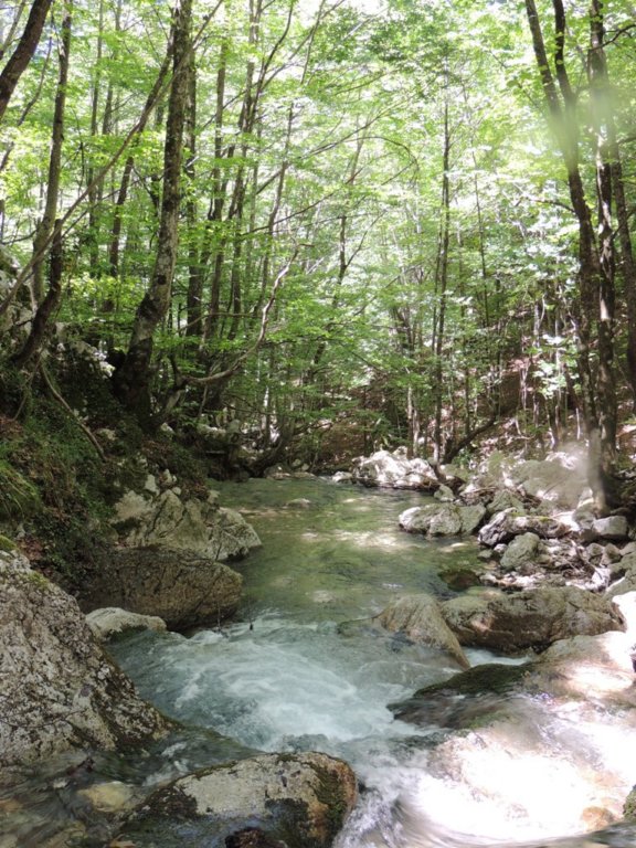 dscn1634.jpg