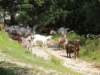 dscn1650_small.jpg