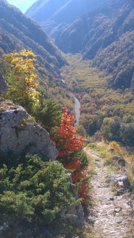 wp_20171111_11_12_57_pro.jpg