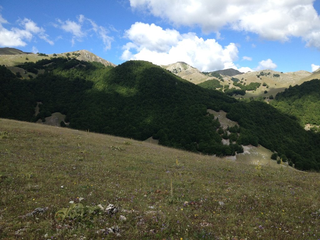 img_6213.jpg