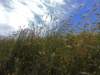 dscn6626_small.jpg