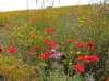 dscn6632_small.jpg
