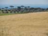 dscn6644_small.jpg
