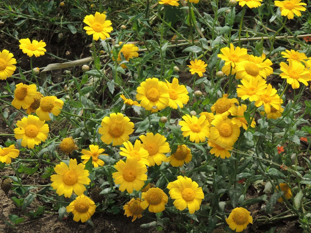 dscn6648.jpg
