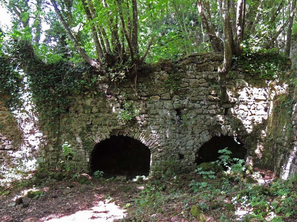 dscn6732.jpg