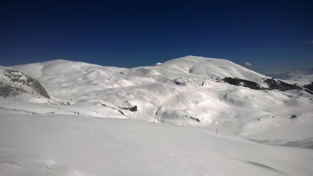 wp_20170219_003.jpg