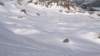img20180218wa0025_small.jpg