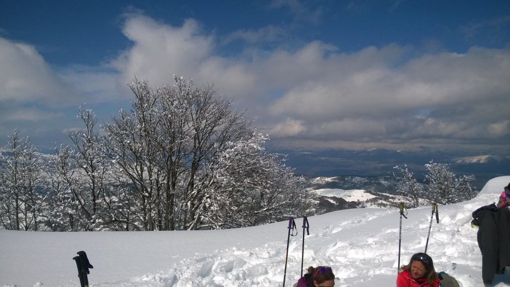 wp_20180324_13_38_17_pro.jpg