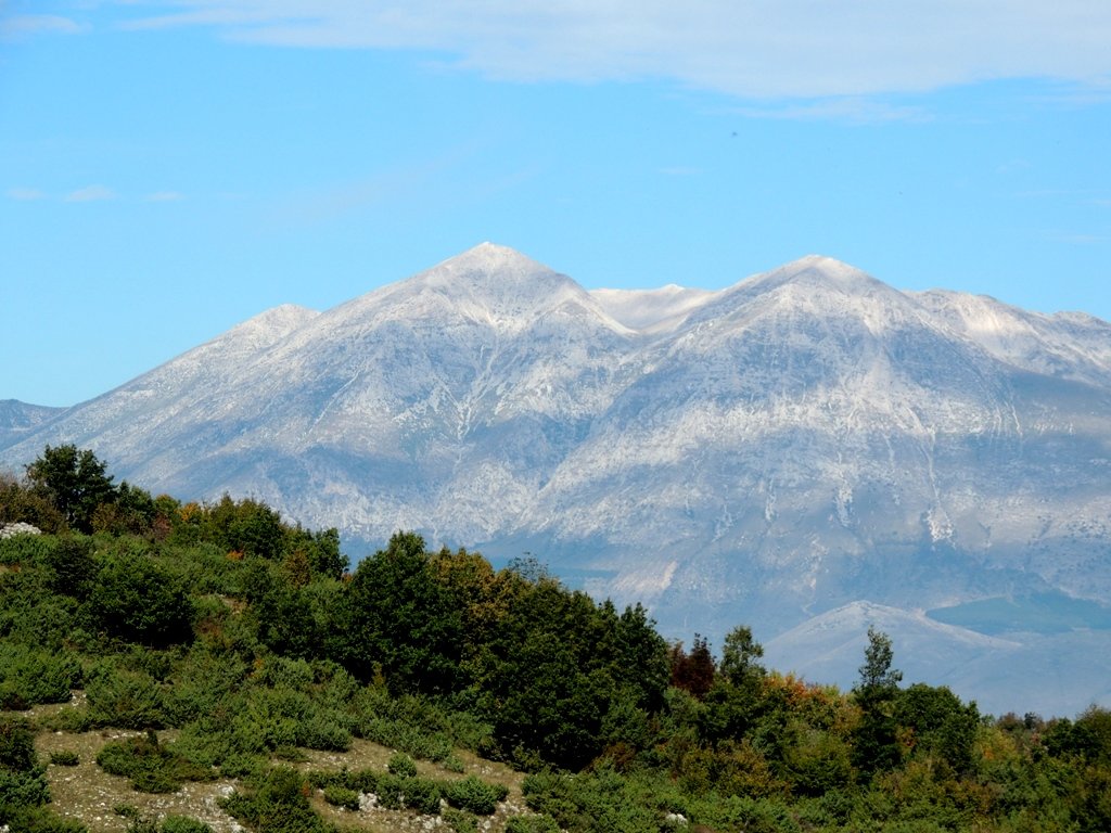 dscn4356.jpg