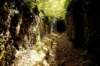 dsc_1579_small.jpg