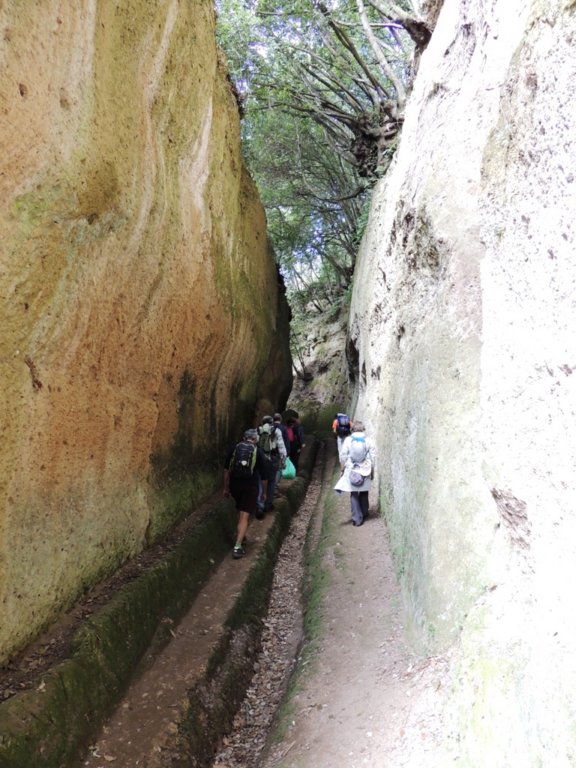dscn6890.jpg