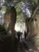 dscn6897_small.jpg