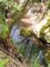 dscn6970_small.jpg