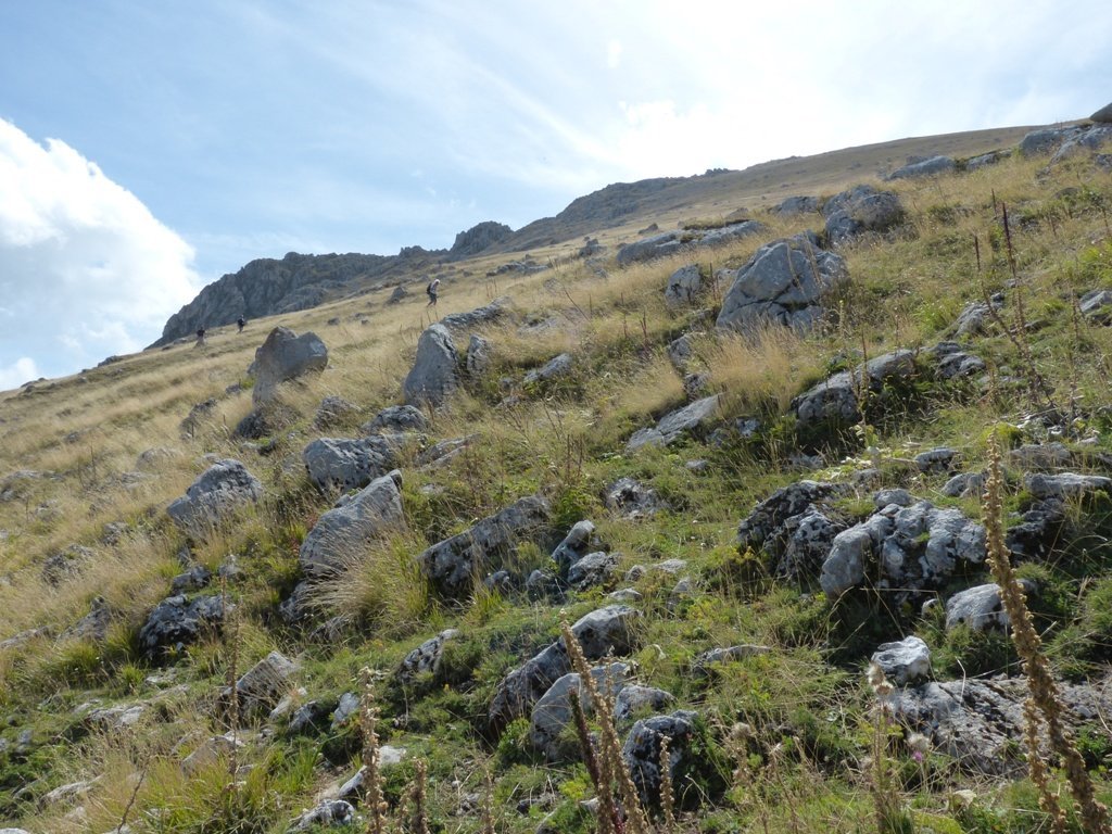 p1080037.jpg