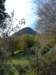 p1060194_small.jpg