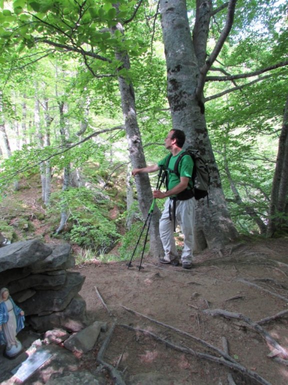 img_0197.jpg