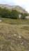 img_20210926_142409_small.jpg