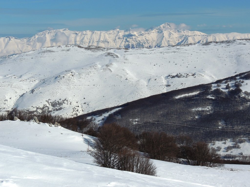 dscn0477.jpg