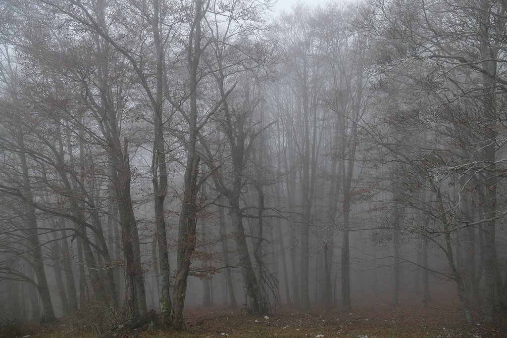 p13600941r.jpg