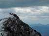 dscn6463_small.jpg