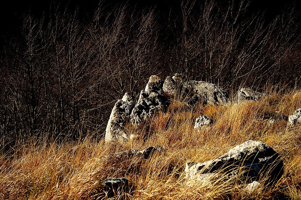 dsc_2240.jpg